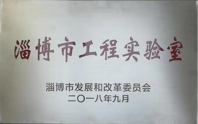 重山光电功能氟碳材料平台被认定为淄博市工程实验室8