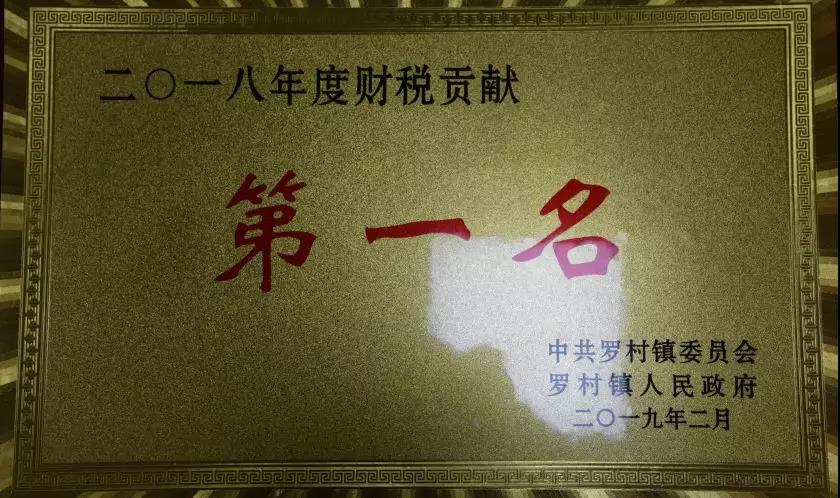 集团公司荣获罗村镇财税贡献奖16