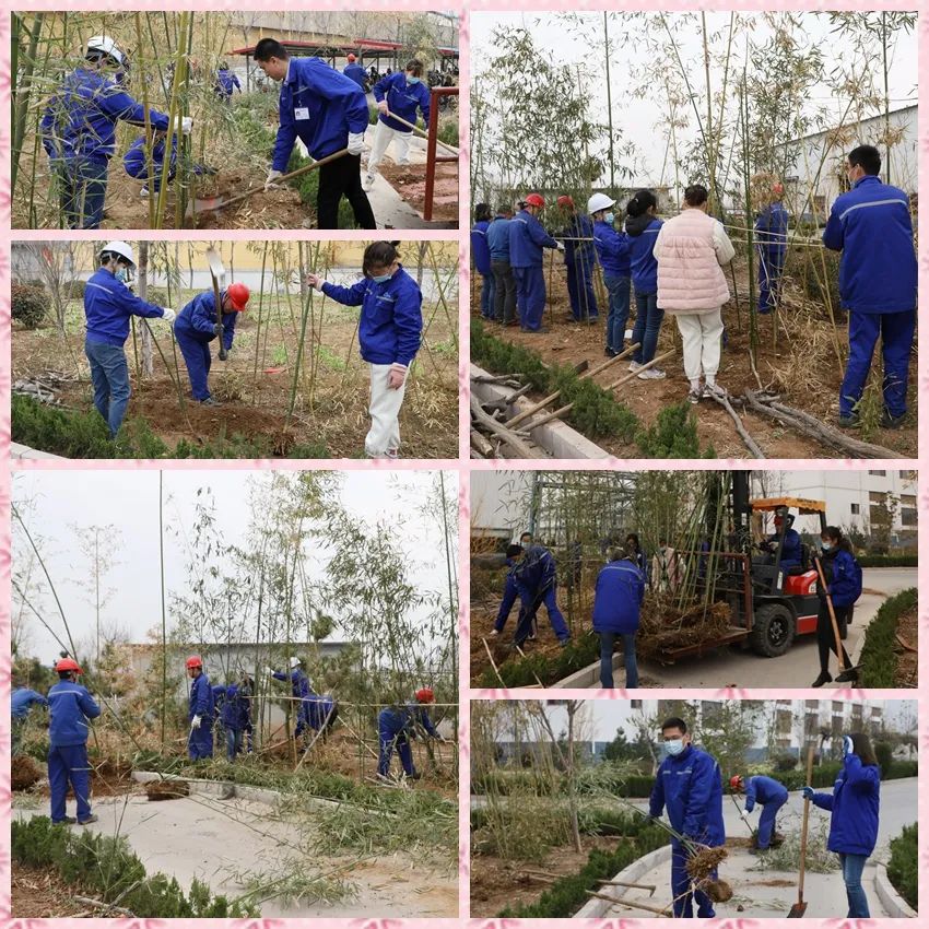 公司志愿服务队组织植树活动34