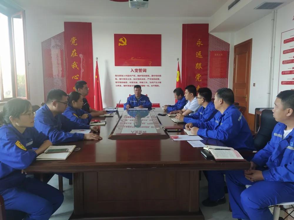 公司党支部组织开展主题党日活动63