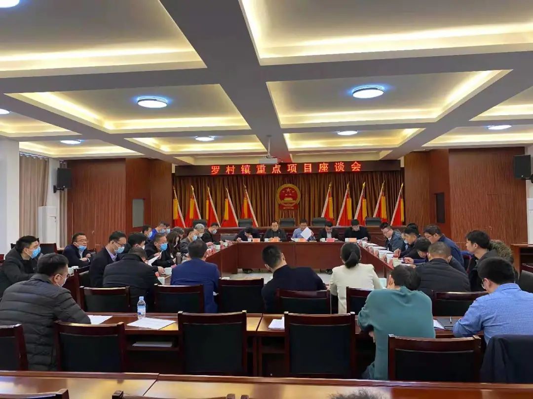 重山集团董事长参加罗村镇重点项目座谈会69