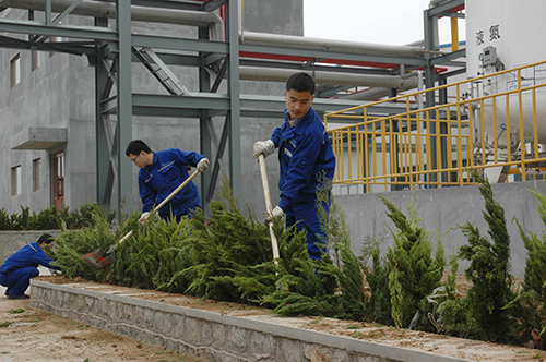 重山光电开展植树活动