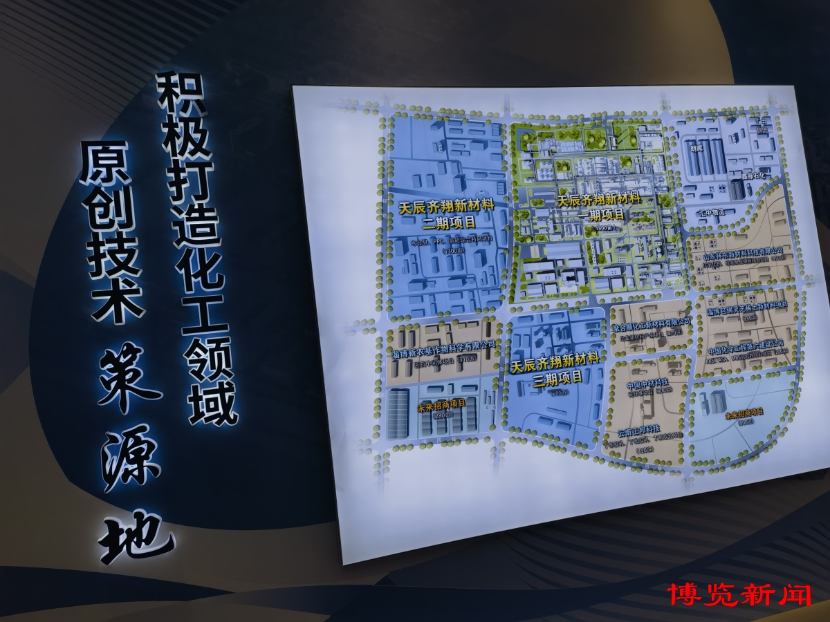 淄博精细化工如何变优势为胜势?